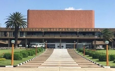 Parley’s current decisions will face legal challenge – Kafwaya